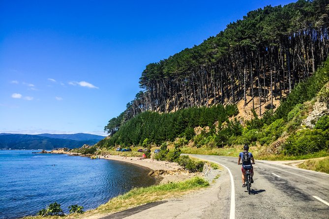 Full-Day Wellington Self-Guided Electric Bike Tour - Exploring Wellingtons Stunning Landmarks