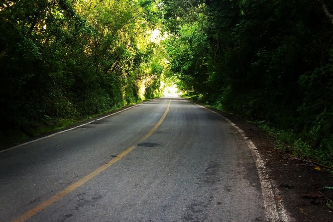 Road Bike Tour From Nuevo Vallarta to Punta De Mita - Highlights of the Nuevo Vallarta to Punta De Mita Bike Tour