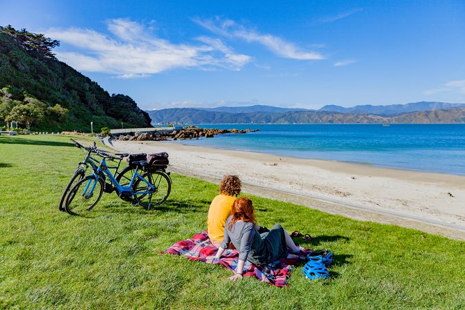 Full-Day Wellington Self-Guided Electric Bike Tour - Conquering Wellingtons Challenging Hills With Ease