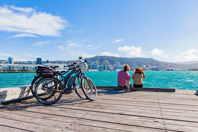 Full-Day Wellington Self-Guided Electric Bike Tour - Immersing in Wellingtons Natural Beauty and Parks