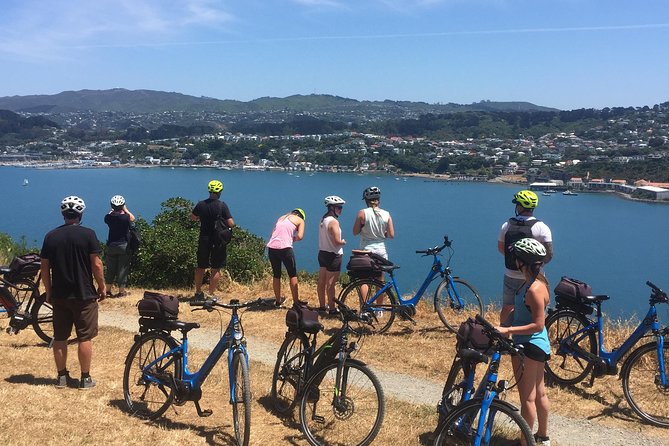 Wellington Electric Bike Tour - Memorable Stops and Photo Opportunities