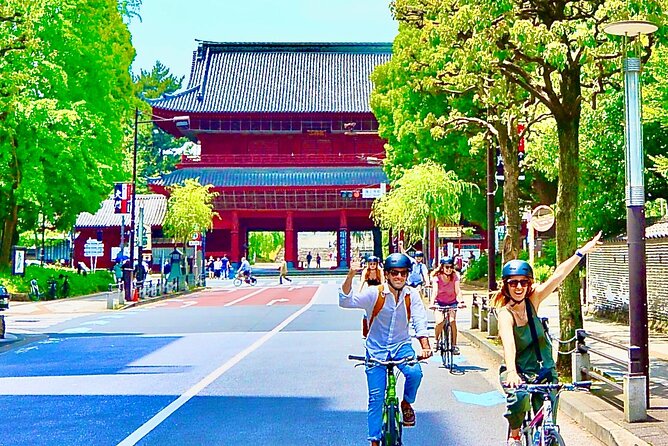 Tokyo Bike Tour With Meiji-Jingu Shrine, Aoyama Cemetery